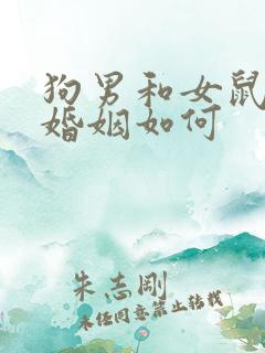 狗男和女鼠相配婚姻如何