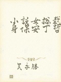 小说女总裁的贴身保安丁哲