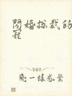 闪婚总裁的心尖宠