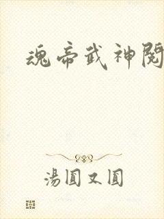 魂帝武神阅读