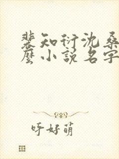 裴知衍沈桑宁什么小说名字