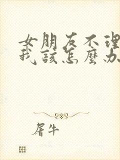 女朋友不理我了我该怎么办