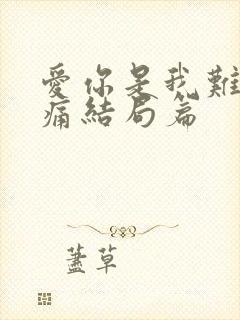 爱你是我难言的痛结局篇