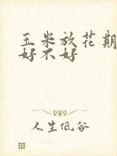 玉米放花期浇水好不好