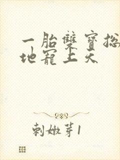 一胎双宝总裁爹地宠上天