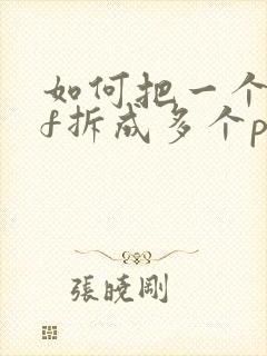 如何把一个pdf拆成多个pdf