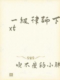 一级律师下载txt