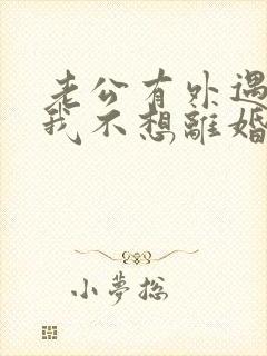 老公有外遇咋办我不想离婚