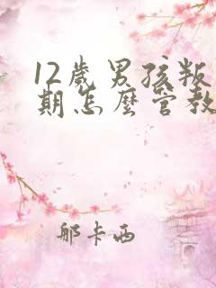 12岁男孩叛逆期怎么管教最合适男孩