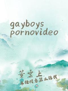 gayboyspornovideo