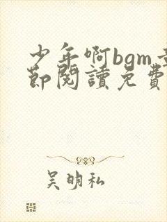 少年啊bgm章节阅读免费全文