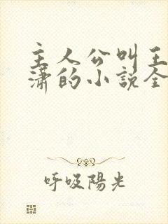 主人公叫王东唐潇的小说全文免费阅读笔趣阁
