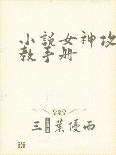 小说女神攻略调教手册