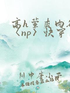 高h荤爽肉欲文〈np〉快穿