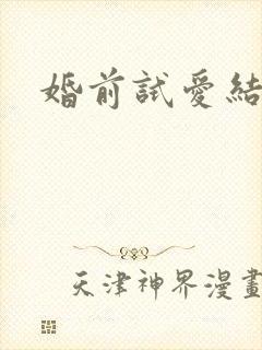 婚前试爱结婚