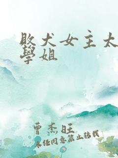 败犬女主太多了学姐