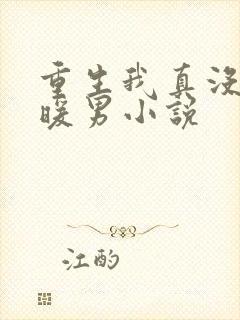 重生我真没想当暖男小说