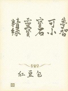 精灵宝可梦究极绿宝石小智版