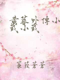 黄蓉外传小之大武小武