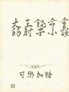 大王饶命会说话的肘子小说免费完整版