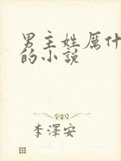 男主姓厉什么爵的小说