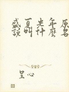 盛夏光年原著小说叫什么名字