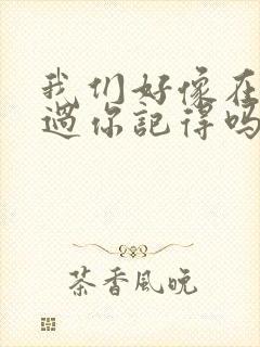 我们好像在哪见过你记得吗歌词