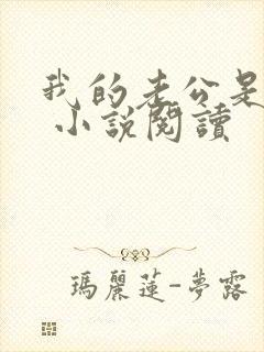 我的老公是鬼物 小说阅读
