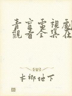 青盲电视剧免费观看全集在线观看