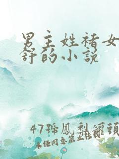 男主姓褚女主姓舒的小说