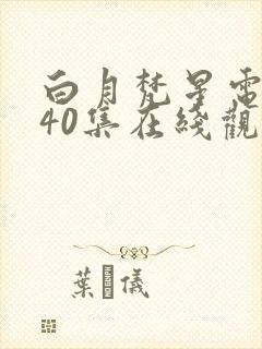 白月梵星电视剧40集在线观看