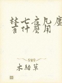 林七夜凡尘神域有什么用