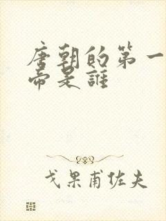 唐朝的第一个皇帝是谁