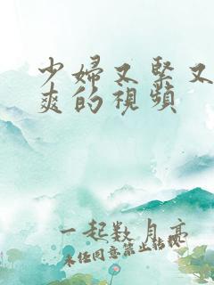 少妇又紧又嫩又爽的视频
