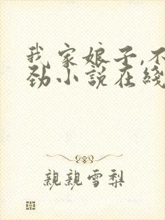 我家娘子,不对劲小说在线免费阅读