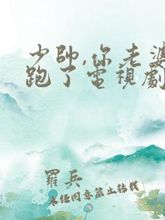 少帅,你老婆又跑了电视剧免费观看