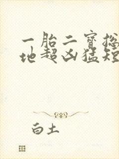 一胎二宝总裁爹地超凶猛短剧免费全集