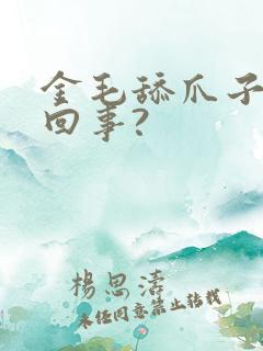 金毛舔爪子怎么回事?