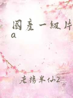 国产一级片aaa