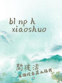 bl np h xiaoshuo