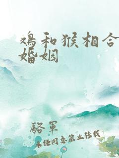鸡和猴相合不合婚姻