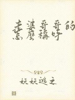 老婆哥哥的儿子怎么称呼