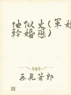 他似火(军婚高干婚恋)