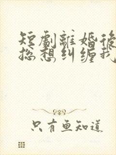 短剧离婚后前夫总想纠缠我