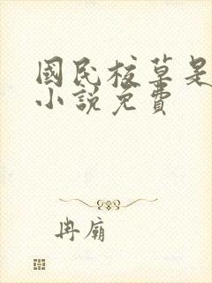 国民校草是女生小说免费