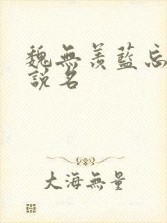魏无羡蓝忘机小说名
