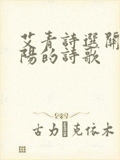 艾青诗选关于太阳的诗歌