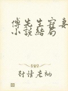 傅先生宠妻无度小说结局
