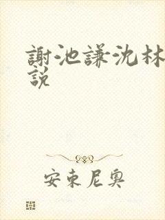 谢池谦沈林熹小说