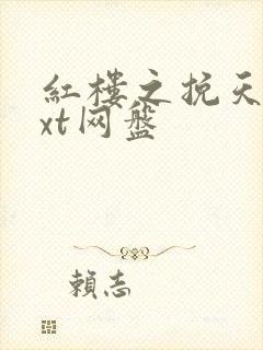 红楼之挽天倾txt网盘